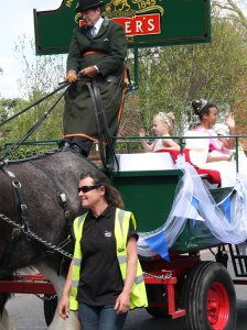 The Carnival Queen on John Medhurst's dray pulled by his magnificent dray horses