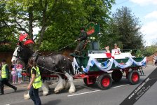The Carnival Queen on John Medhurst's dray pulled by his magnificent dray horses